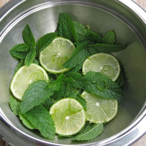 Minze Limetten Sirup Rezept K Cheng Tter