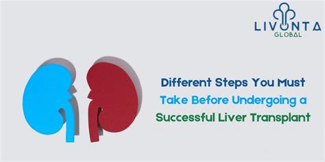 Different Steps You Must Take Before Undergoing A Successful Liver Transplant Livonta Global