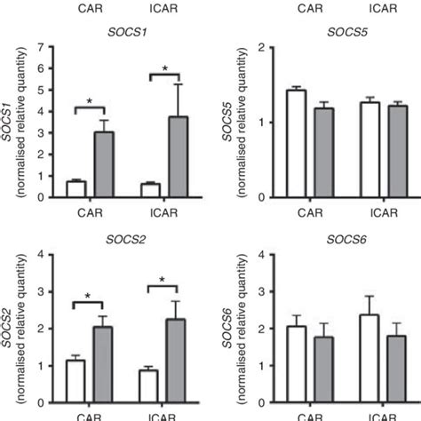 Regulation Of Endometrial SOCS Gene Expression By IFNT In Vivo