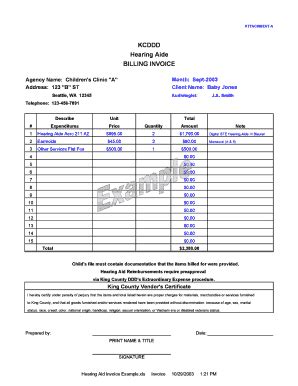 Hearing Aid Invoice Fill Online Printable Fillable Blank Pdffiller