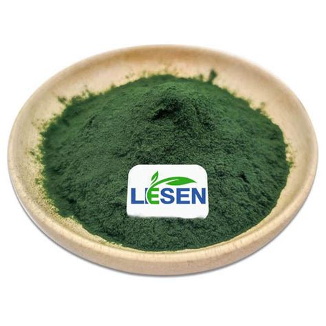 China Bulk Chlorella Powder Manufacturers Suppliers Factory Bulk