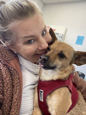 VALUE PET CLINIC - Updated January 2026 - 35 Photos & 206 Verified ...