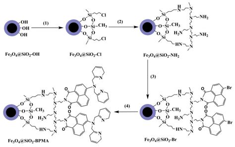 Synthesis Of Bis 2 Pyridylmethyl Amine BPMA Functionalized Fe 3 O 4