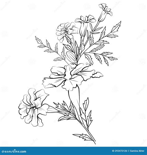 Marigold Isolated Images Clip Art Black Tattoo With Marigold Marigold