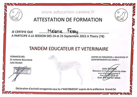 Mes Formations Mellys Coeur De Chien