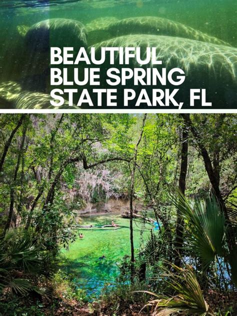 Blue Spring State Park, Florida - 2TravelDads