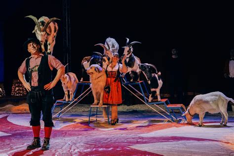 Recensie Noord Hollands Wintercircus Crew Heeft Er Samen Wat Leuks