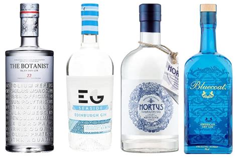 5+ Blue Bottle Gin - KarimKensey