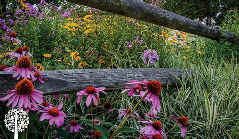 Plant A Native Garden Your Neighbors Will Love