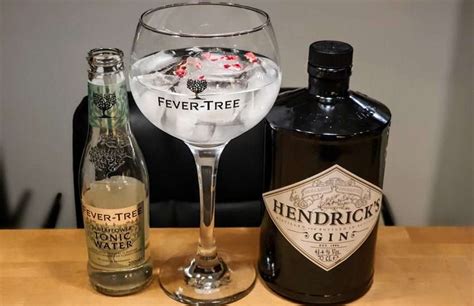 Gin Og Tonic Med Hendricks Gin Alt Om Gin