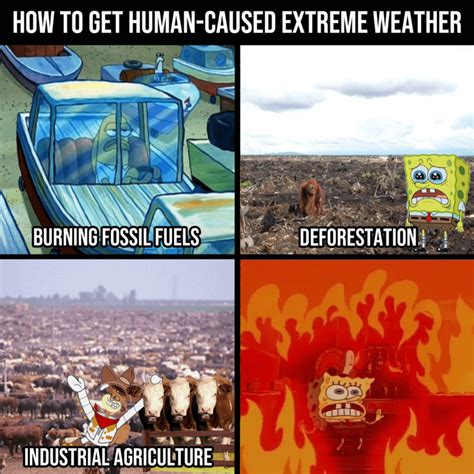 28 SpongeBob Memes Made In Bikini Bottom Know Your Meme