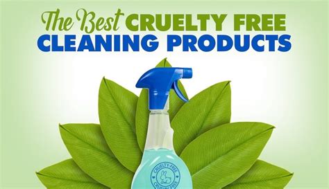 The Best Cruelty Free Cleaning Products – Safe Household Cleaning