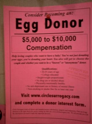 The Egg Money Myth: Separating Fact From Fantasy