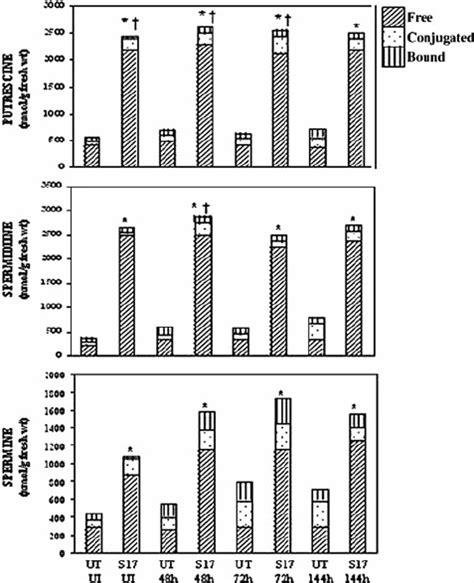 Polyamine levels in SAM17 line of un-induced sample and samples ... 