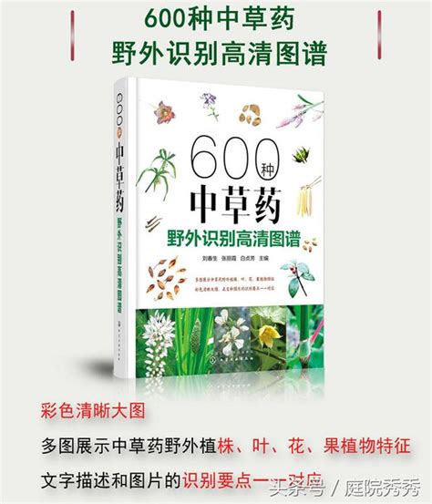 《600種中草藥野外識別高清圖譜》kindle版，輕鬆認識各種草藥 每日頭條