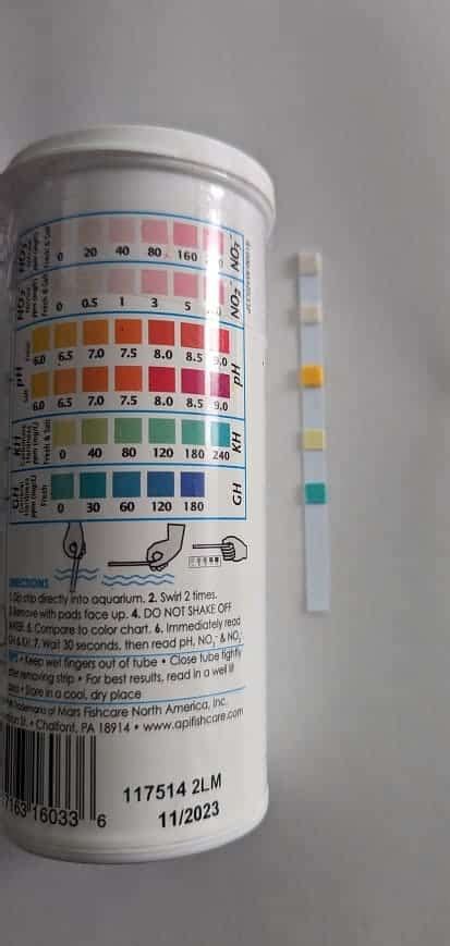 Are The Api 5 In 1 Test Strips Any Good