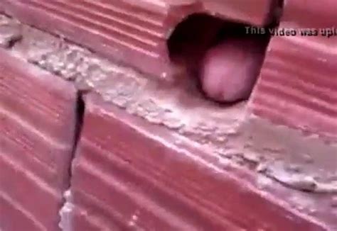 Scopando Il Buco Nel Muro Free Gay Porn 18 XHamster