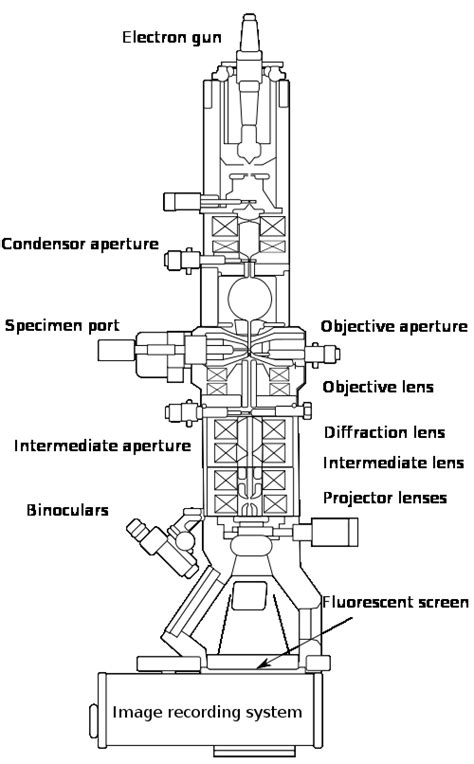 Electron Microscope Labelled Diagram