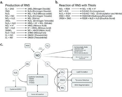 Sources of reactive nitrogen species. Various formulas showing the ...