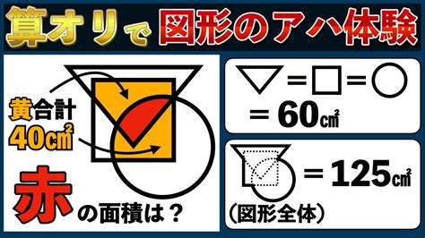 【頭を柔らかくすると解ける良問】小学校では教えてくれない図形の面白い考え方【中学受験の算数】 Youtube