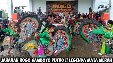 Jaranan ROGO SAMBOYO PUTRO Kepang Kembar Sang Legenda Mata Merah Live