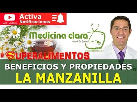 Descubre por qué la manzanilla es buena para el estómago: beneficios y ...