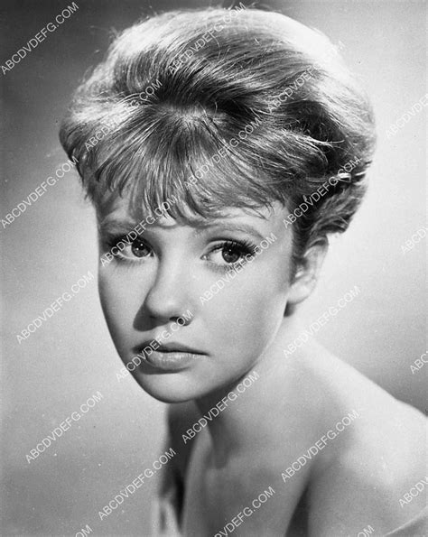 Beautiful Hayley Mills Portrait 1337 18 Abcdvdvideo