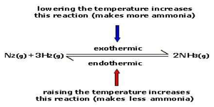 Effect of Temperature on Equilibrium - QS Study