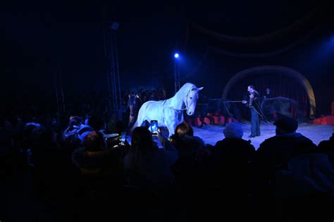 Le Cirque Zavatta Le Spectacle Tr S Attendu De La Fin Dann E Ville