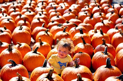 Here's what to expect from Friday's weather forecast