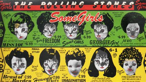 Classic Album Covers Reimagined With Kittens All Songs Considered NPR