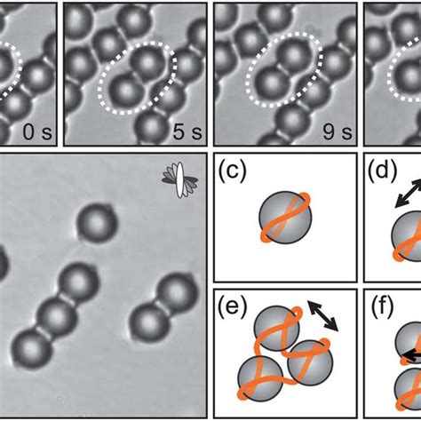 Pdf Topology Of Nematic Liquid Crystal Colloids Confined To Two