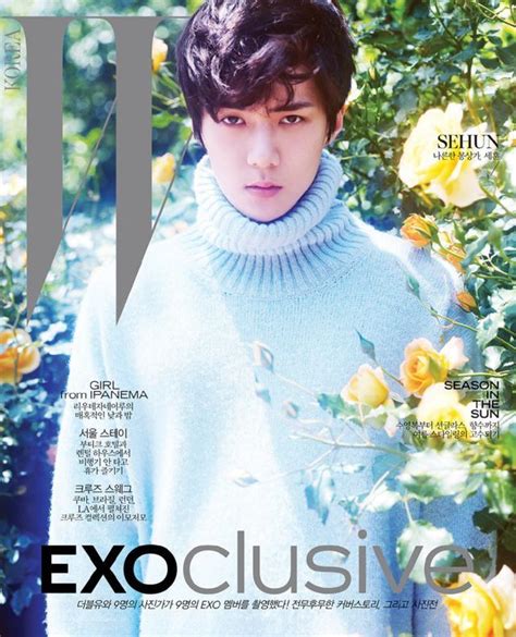 韓國人氣明星sehun Exo 吳世勛 《w》雜誌花美男寫真大片 每日頭條