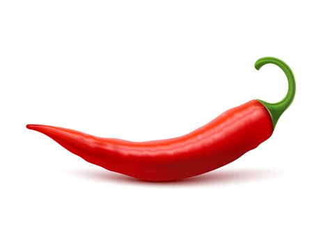 Red Hot Chili Pepper Realistic Image Vector Art At Vecteezy
