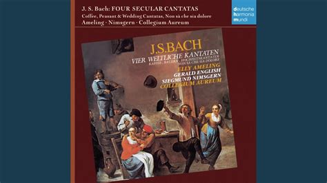 Cantata No Non Sa Che Sia Dolore Bwv Tuo Saver Al Tempo E L