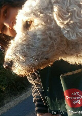 Doitwithdaisy Nude OnlyFans NudoStar TV