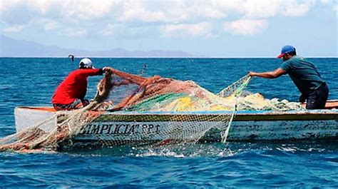 Unen Esfuerzos Para Impulsar La Pesca Artesanal En áreas Naturales