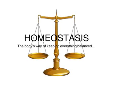 Powerpoint On Homeostasis Teaching Resources