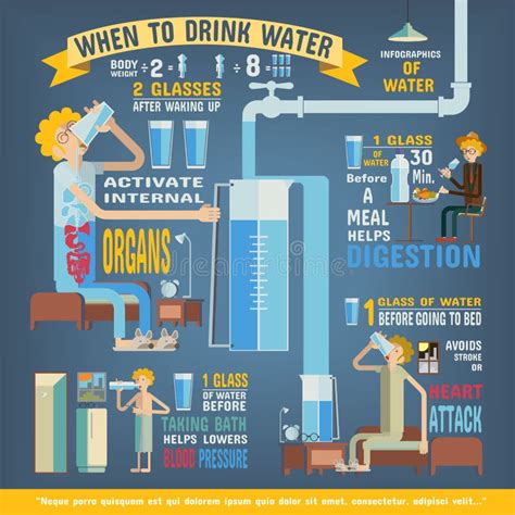 Benefits Of Drinking Water Infographics Body Water Vector Stock Vector