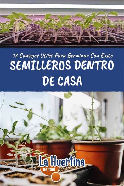 12 Consejos Para Hacer Semilleros En Casa En Invierno