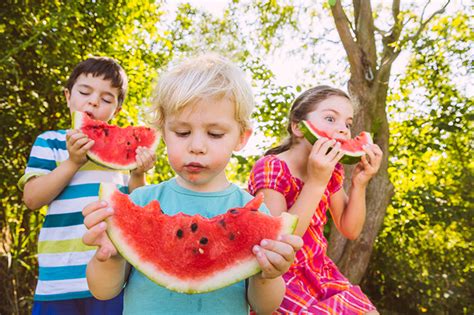 7 Picnic Essentials For The Perfect Family Outing