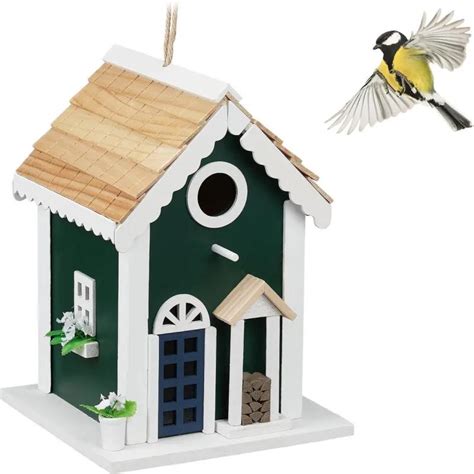 Vogelhuisje Gekleurd Decoratie Nestkastje Koolmees Vogelkastje