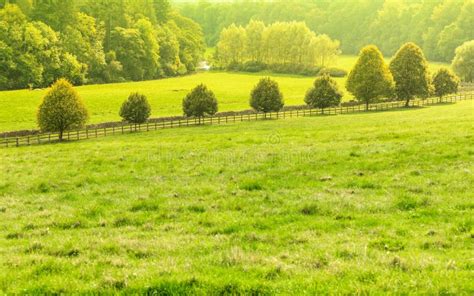 Countryside View Of Green Field Nature Landscape Stock Image Image