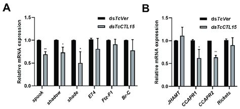 Effect Of Tcctl Knockdown On The Transcript Levels Of Genes Involved