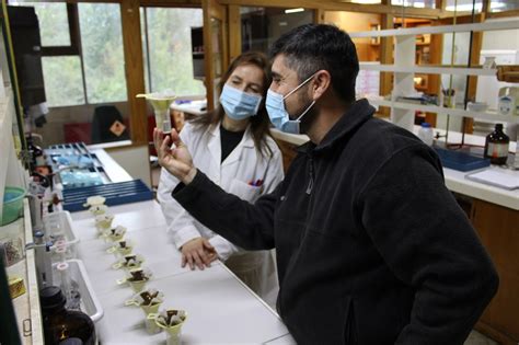 Laboratorio De Nutrici N Y Suelos Forestales Es Acreditado Por Dos A Os