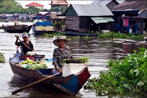 Floating Village Mangroves Forest Private Tonle Sap Cruise Tour