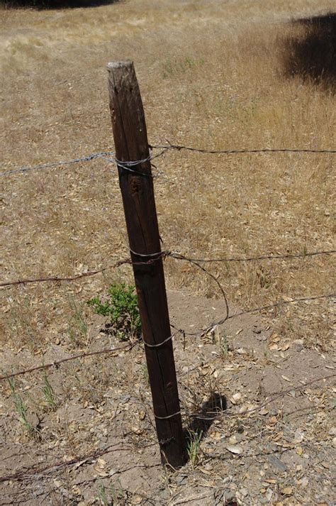 How to build a simple wire gate or field gate.