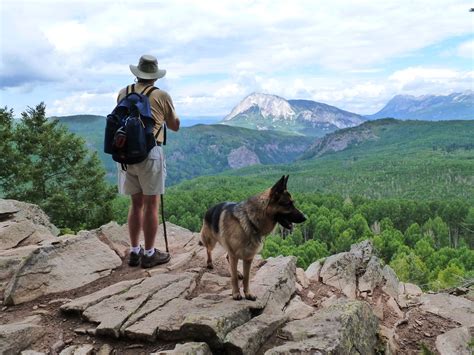 Are German Shepherds Good Hiking Dogs