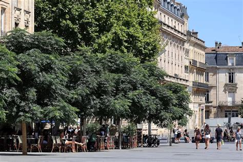 Bordeaux Infographie Quelles Sont Les Villes Les Plus Arbor Es En