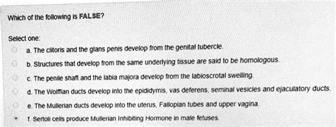 Solved Which Of The Following Is False Select One The Clitoris And The Glans Penis Develop